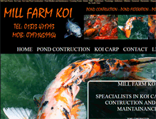 Tablet Screenshot of koicarppondconstruction.com